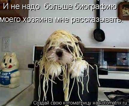 Котоматрица: моего хозяина мне рассказывать. И не надо  больше биографию
