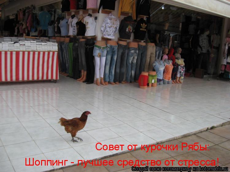 Котоматрица: Шоппинг - лучшее средство от стресса!  Совет от курочки Рябы: