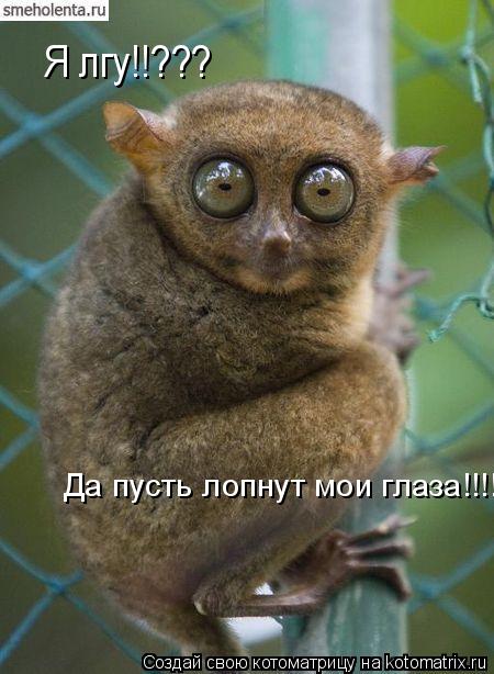 Котоматрица: Я лгу!!??? Да пусть лопнут мои глаза!!!!!