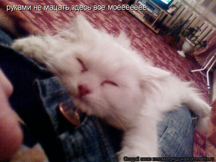руками не мацать,здесь все моёёёёёёё... Котоматрица: руками не мацать,здесь все моёёёёёёё