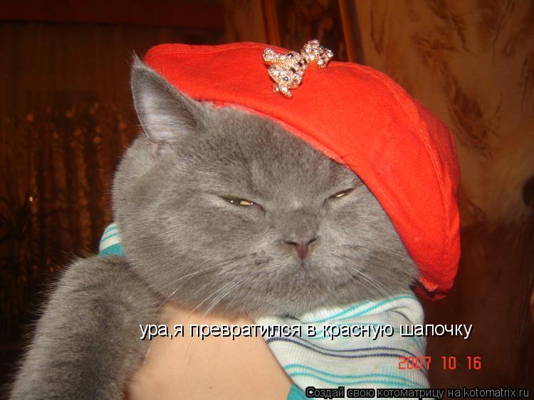 Котоматрица: ура,я превратился в красную шапочку