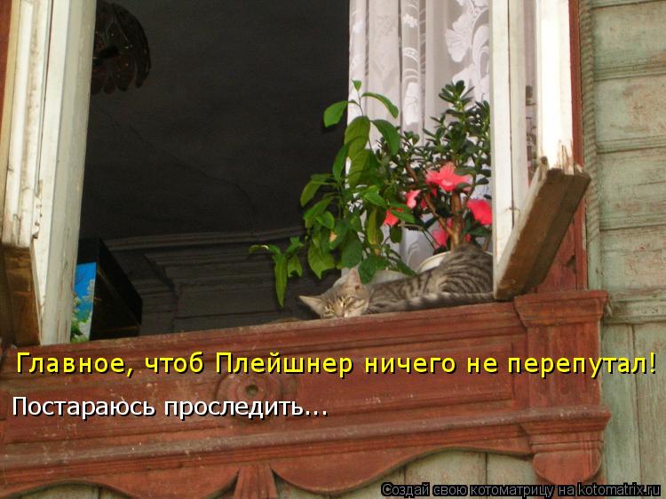 Главное, чтоб Плейшнер ничего не перепутал! Постараюсь проследить...... Котоматрица: Главное, чтоб Плейшнер ничего не перепутал! Постараюсь проследить...