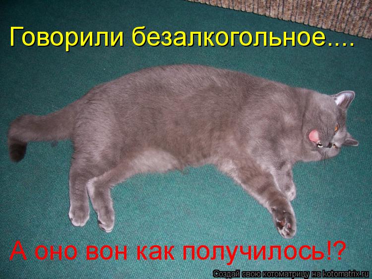 Котоматрица: Говорили безалкогольное.... А оно вон как получилось!?