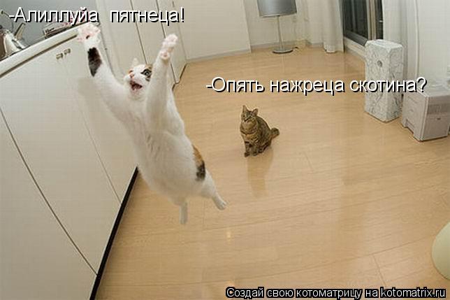 Котоматрица: -Опять нажреца скотина? -Алиллуйа  пятнеца!