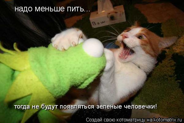 Котоматрица: надо меньше пить...  тогда не будут появляться зеленые человечки!