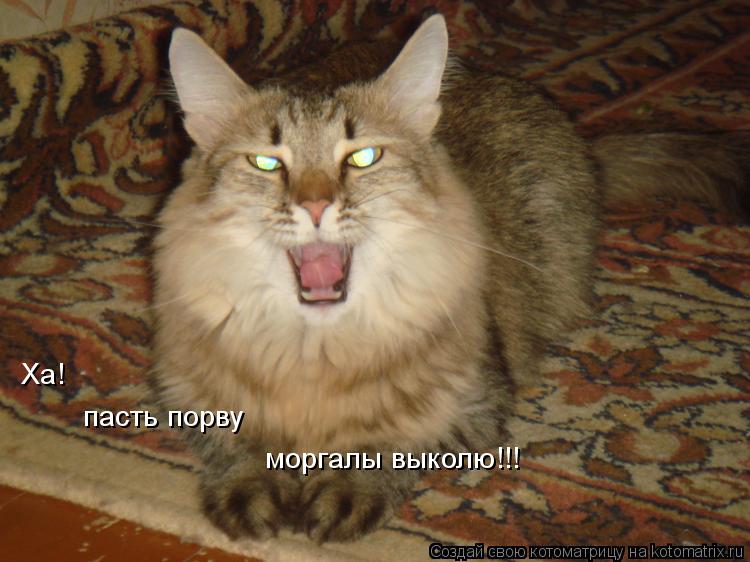 Котоматрица: Ха! пасть порву моргалы выколю!!!