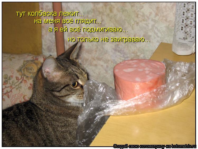 Котоматрица: тут колбаска лежит... на меня всё глядит... а я ей всё подмигиваю... но только не заиграваю...