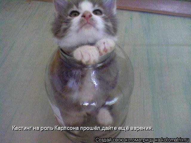 Котоматрица: Кастинг на роль Карлсона прошёл,дайте ещё варения.