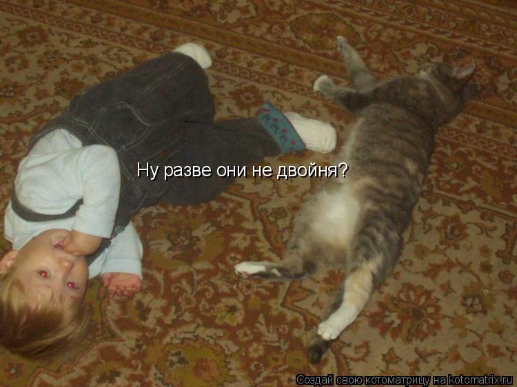 Котоматрица: Ну разве они не двойня?