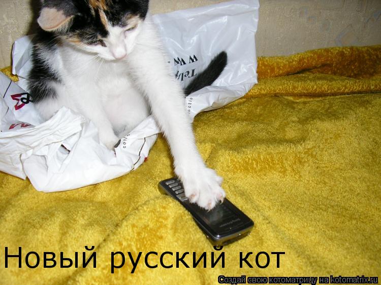 Новый русский кот... Котоматрица: Новый русский кот