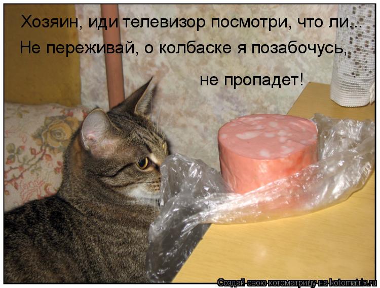 Котоматрица: Хозяин, иди телевизор посмотри, что ли... Не переживай, о колбаске я позабочусь, не пропадет!