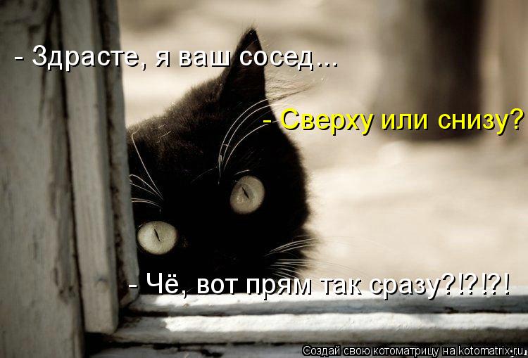 Котоматрица: - Сверху или снизу? - Чё, вот прям так сразу?!?!?! - Здрасте, я ваш сосед...
