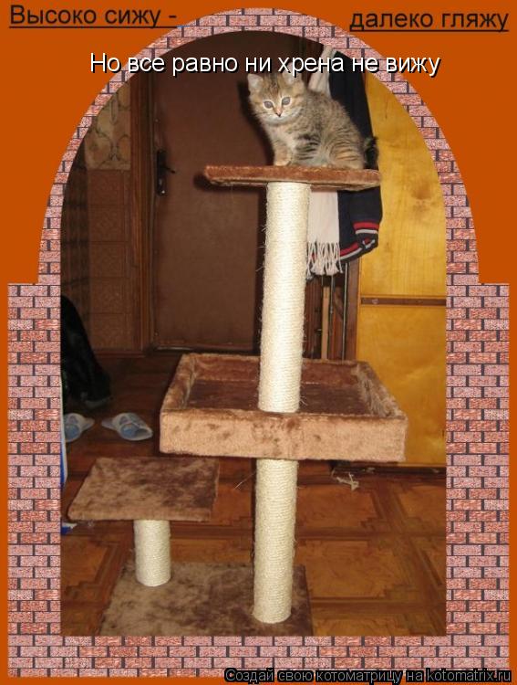Котоматрица: Но все равно ни хрена не вижу