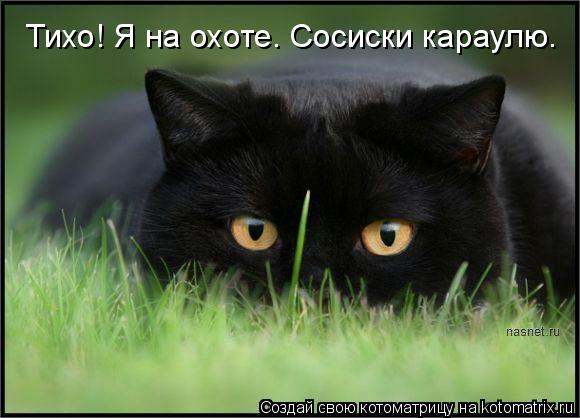 Тихо! Я на охоте. Сосиски караулю.... Котоматрица: Тихо! Я на охоте. Сосиски караулю.