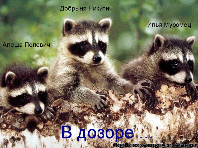 Алеша Попович Добрыня Никитич Илья Муромец В дозоре ...... Котоматрица: Алеша Попович Добрыня Никитич Илья Муромец В дозоре ...