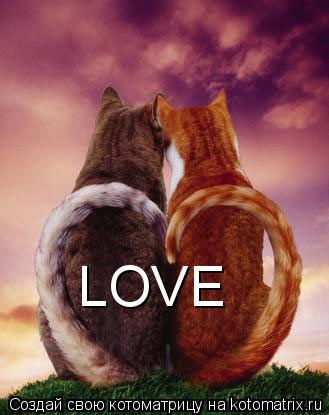 Котоматрица: LOVE