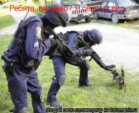 Ребята, ви шаво? Я сёня ни пил.... Котоматрица: Ребята, ви шаво? Я сёня ни пил.