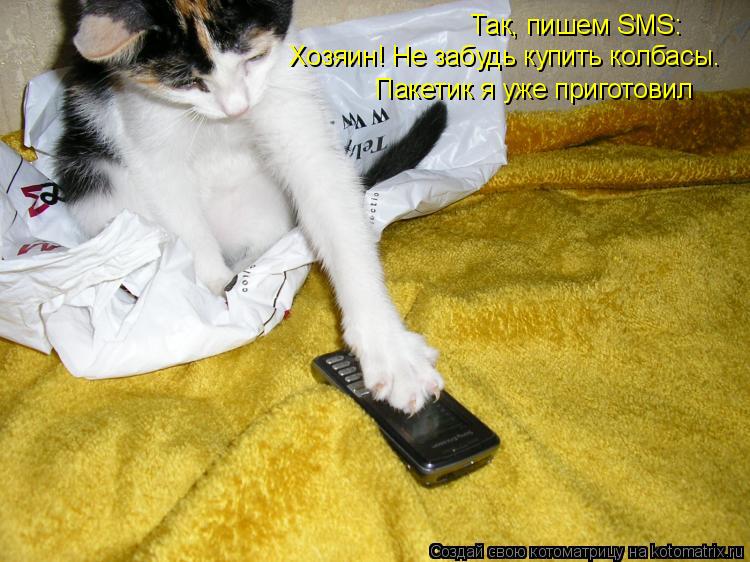 Котоматрица: Так, пишем SMS: Хозяин! Не забудь купить колбасы. Пакетик я уже приготовил