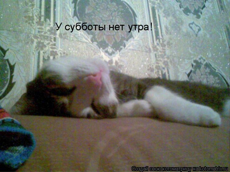 У субботы нет утра!... Котоматрица: У субботы нет утра!