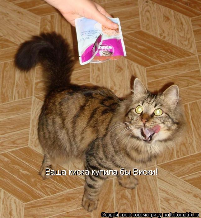 Котоматрица: Ваша киска купила бы Виски!