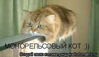 Котоматрица: МОНОРЕЛЬСОВЫЙ КОТ :))