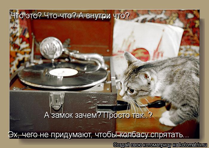 Котоматрица: Что это? Что-что? А внутри что? А замок зачем? Просто так..? Эх, чего не придумают, чтобы колбасу спрятать...