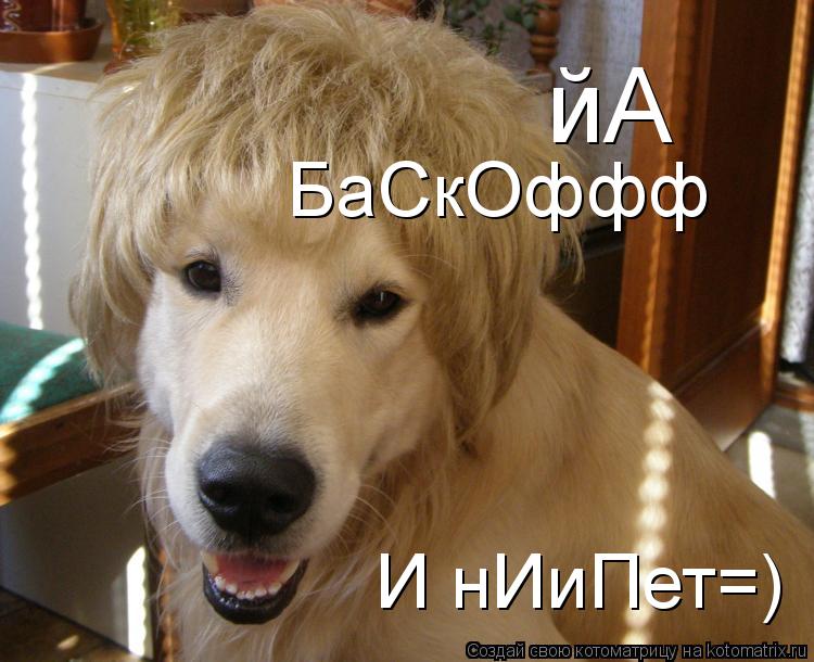 йА йА БаСкОффф И нИиПет=)... Котоматрица: йА йА БаСкОффф И нИиПет=)