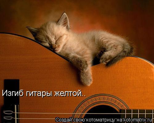 Изгиб гитары желтой..... Котоматрица: Изгиб гитары желтой..