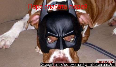 Пора спасать людей... Котоматрица: Пора спасать людей