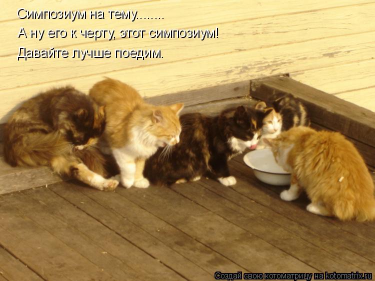 Котоматрица: Симпозиум на тему........ А ну его к черту, этот симпозиум! Давайте лучше поедим.