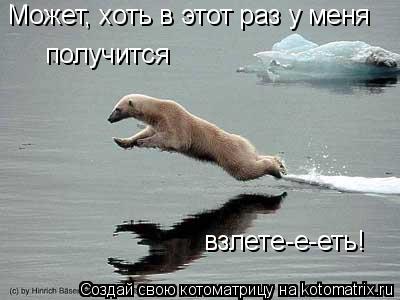 Котоматрица: Может, хоть в этот раз у меня получится взлете-е-еть!