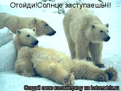 Отойди!Солнце заступаешь!!!... Котоматрица: Отойди!Солнце заступаешь!!!