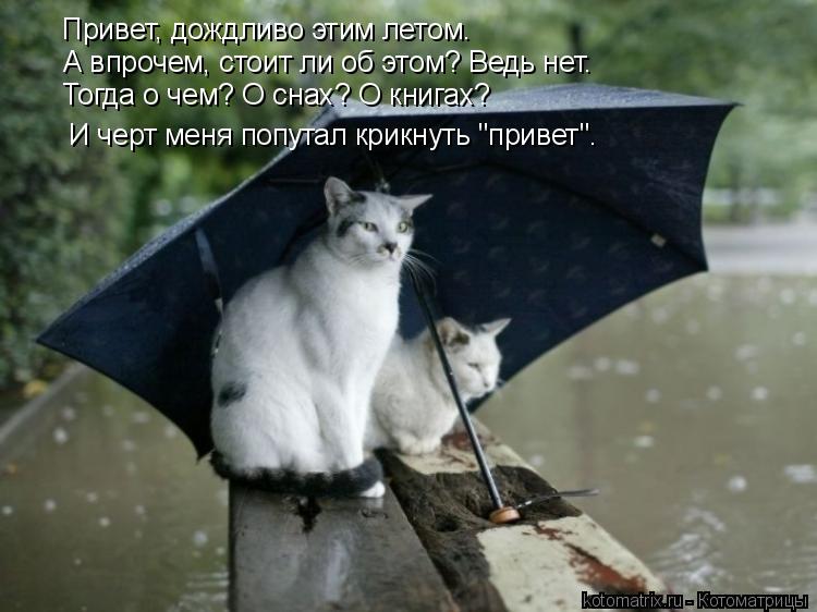 Привет, дождливо этим летом. А впрочем, стоит ли об этом? Ведь нет. Тогда о чем? О снах? О книгах? И ... Котоматрица: Привет, дождливо этим летом. А впрочем, стоит ли об этом? Ведь нет. Тогда о чем? О снах? О книгах? И черт меня попутал крикнуть "привет".