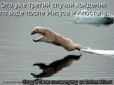 Котоматрица: Это уже третий случай хождения  по воде после Иисуса и Апостола...