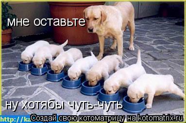 мне оставьте ну хотябы чуть-чуть... Котоматрица: мне оставьте ну хотябы чуть-чуть