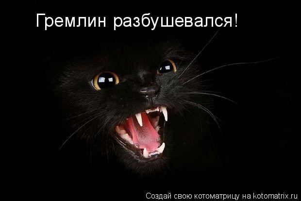 Котоматрица: Гремлин разбушевался!