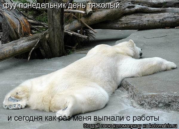 фуу понедельник день тяжолый и сегодня как раз меня выгнали с работы... Котоматрица: фуу понедельник день тяжолый и сегодня как раз меня выгнали с работы