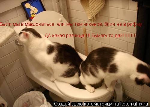 Котоматрица: Были мы в макдональсе, ели мы там чикенов, блин не в рифму ДА какая разница!!!! Бумагу то дай!!!!!!!!