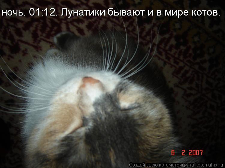 ночь. 01:12. Лунатики бывают и в мире котов.... Котоматрица: ночь. 01:12. Лунатики бывают и в мире котов.