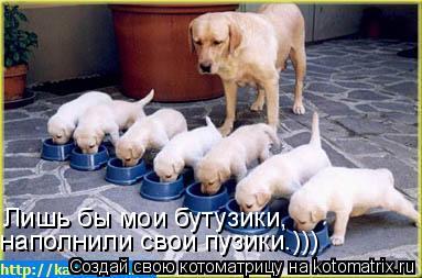 Лишь бы мои бутузики, наполнили свои пузики.)))... Котоматрица: Лишь бы мои бутузики, наполнили свои пузики.)))
