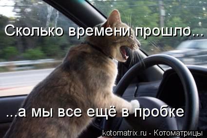 Котоматрица: Сколько времени прошло... ...а мы все ещё в пробке