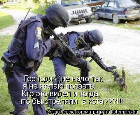 Господи...,не надо так, я не желаю воевать. Кто это видел и когда, что бы стреляли в кота???!!!... Котоматрица: Господи...,не надо так, я не желаю воевать. Кто это видел и когда, что бы стреляли в кота???!!!