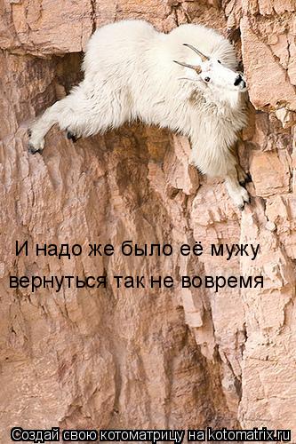 Котоматрица: И надо же было её мужу вернуться так не вовремя