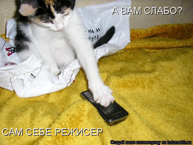 Котоматрица: А ВАМ СЛАБО? САМ СЕБЕ РЕЖИСЕР
