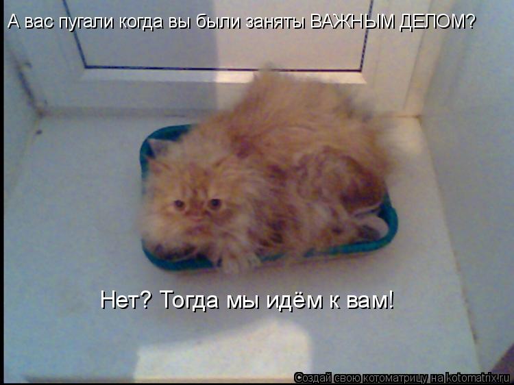 А вас пугали когда вы были заняты ВАЖНЫМ ДЕЛОМ? Нет? Тогда мы идём к вам!... Котоматрица: А вас пугали когда вы были заняты ВАЖНЫМ ДЕЛОМ? Нет? Тогда мы идём к вам!