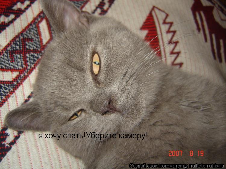 я хочу спать!Уберите камеру!... Котоматрица: я хочу спать!Уберите камеру!