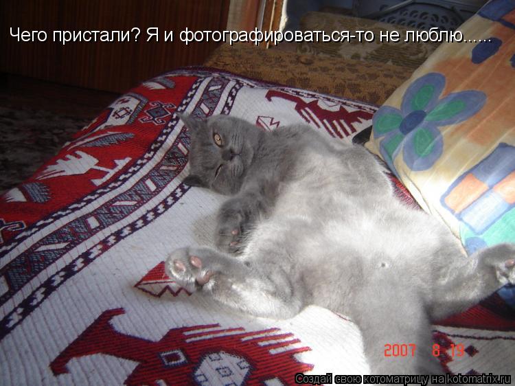 Котоматрица: Чего пристали? Я и фотографироваться-то не люблю......