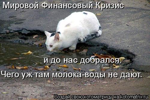 Котоматрица: Мировой Финансовый Кризис и до нас добрался. Чего уж там молока-воды не дают.