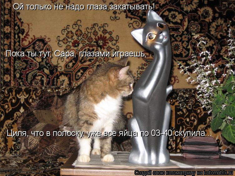 Ой только не надо глаза закатывать! Пока ты тут, Сара, глазами играешь, Циля, что в полоску, уже все ... Котоматрица: Ой только не надо глаза закатывать! Пока ты тут, Сара, глазами играешь, Циля, что в полоску, уже все яйца по 03-40 скупила...