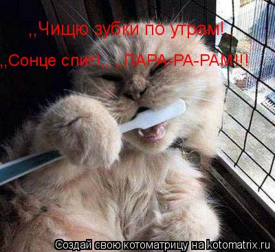 Котоматрица: ,,Чищю зубки по утрам!,, ,,Сонце спит!,, ,,ПАРА-РА-РАМ!!!